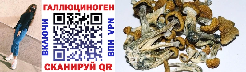 Псилоцибиновые грибы MAGIC MUSHROOMS Талдом